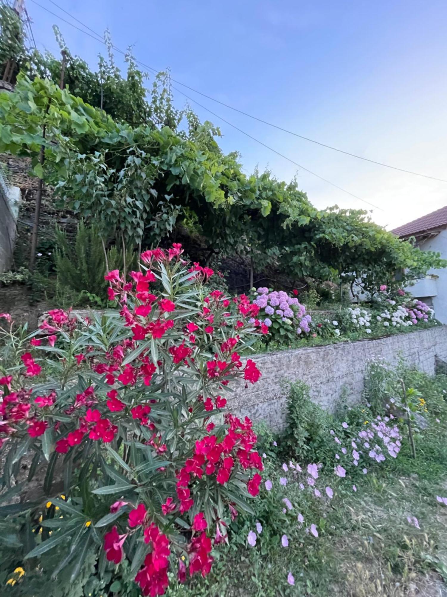 Elsa'S Villa Gjirokastër Екстериор снимка